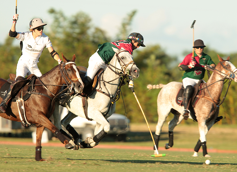 photos-audi-pb-equine-vs-casablanca-photo-credit-alex-pacheco 17 polomagazine.jpg