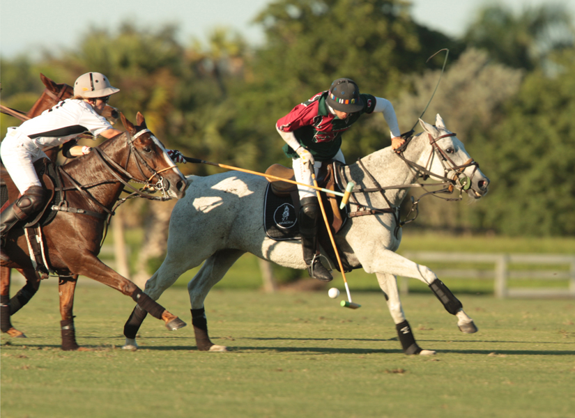 photos-audi-pb-equine-vs-casablanca-photo-credit-alex-pacheco 18 polomagazine.jpg