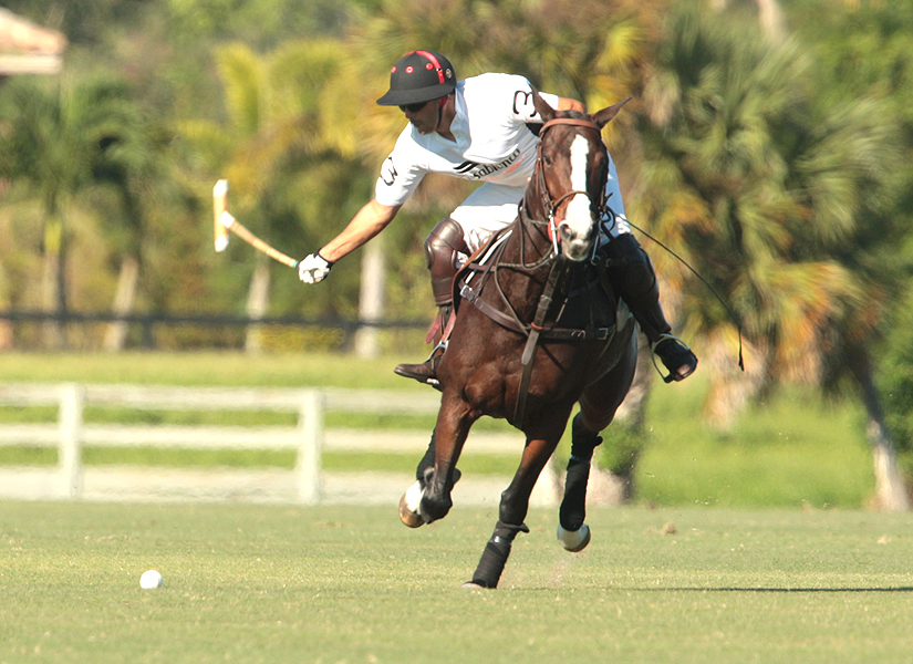 photos-audi-pb-equine-vs-casablanca-photo-credit-alex-pacheco 3 polomagazine.jpg