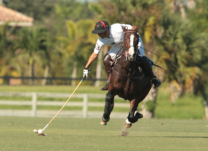 photos-audi-pb-equine-vs-casablanca-photo-credit-alex-pacheco 4 polomagazine.jpg