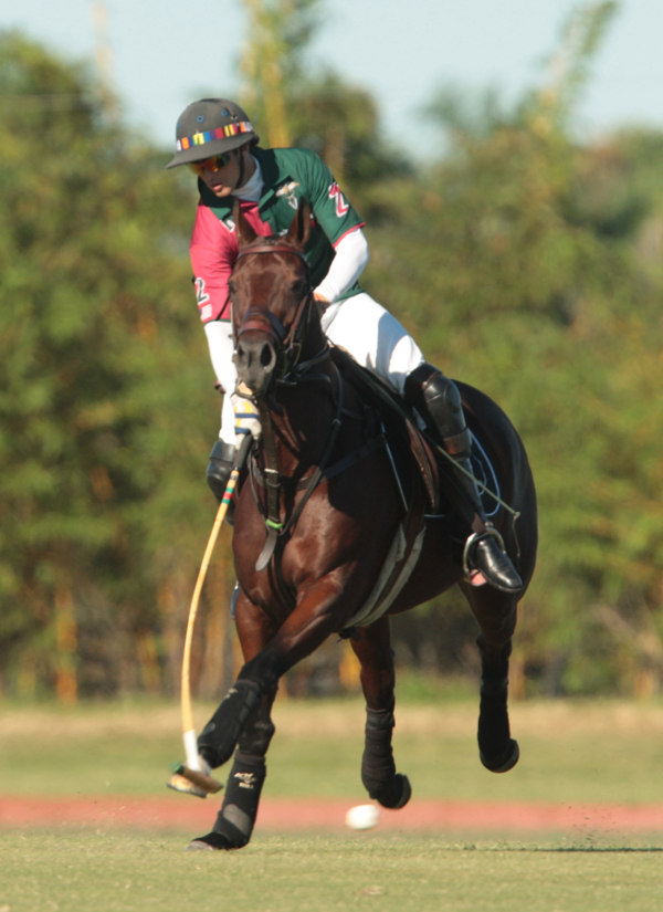 photos-audi-pb-equine-vs-casablanca-photo-credit-alex-pacheco 6 polomagazine.jpg
