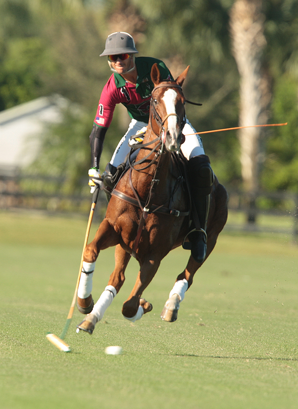 photos-audi-pb-equine-vs-casablanca-photo-credit-alex-pacheco 8 polomagazine.jpg