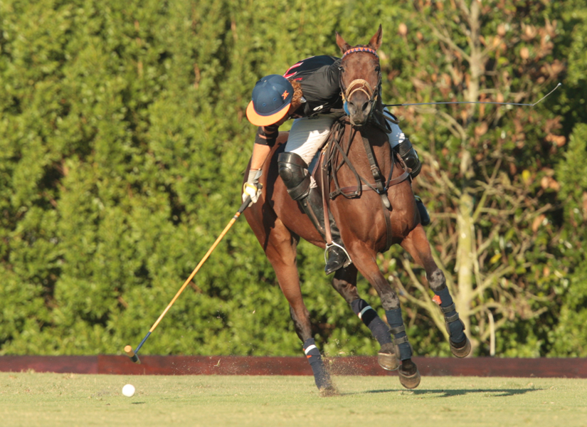 photos-of-uspa-fall-plates-final-by-alex-pacheco 4 polomagazine.jpg