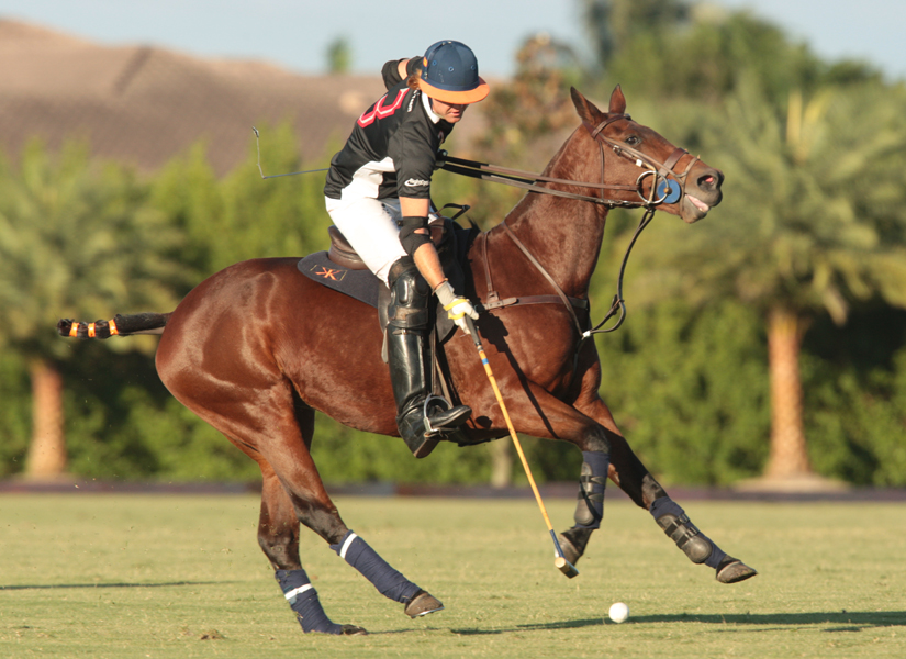photos-of-uspa-fall-plates-final-by-alex-pacheco 5 polomagazine.jpg