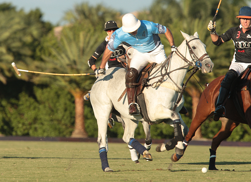 photos-of-uspa-fall-plates-final-by-alex-pacheco 6 polomagazine.jpg