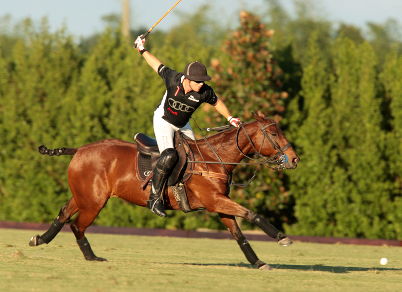 photos-of-uspa-fall-plates-final-by-alex-pacheco 7 polomagazine.jpg