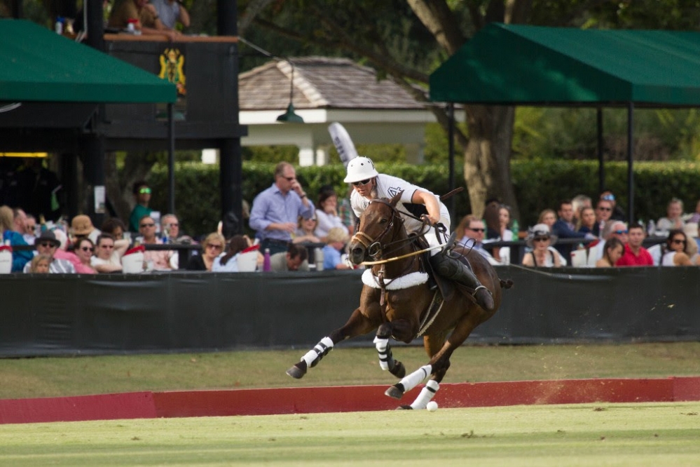  Western Challenge at Houston Polo Club