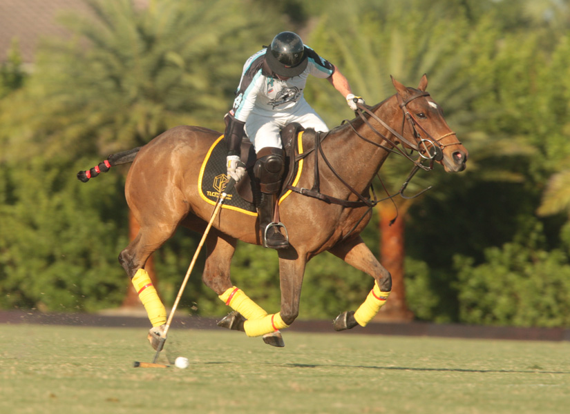 thursday-palm-restaurant-invitational-photos-alex-pacheco 18 polomagazine.jpg