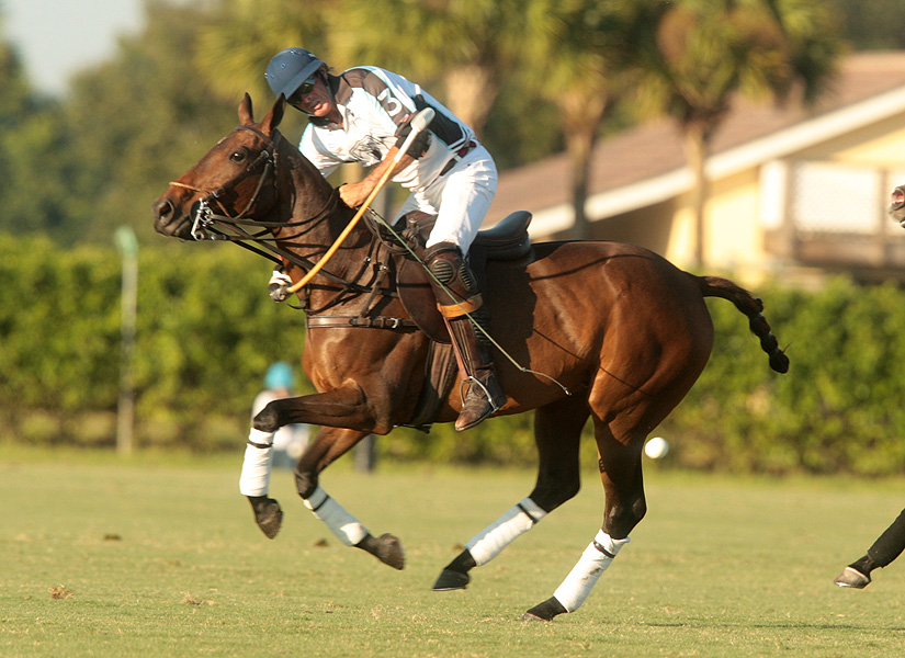 thursday-palm-restaurant-invitational-photos-alex-pacheco 19 polomagazine.jpg