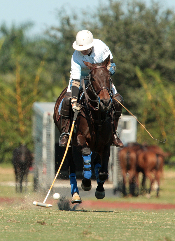 final-uspa-fall-classic-photos 4 polomagazine.jpg
