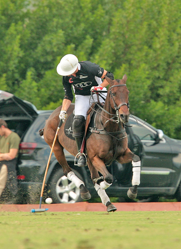 grand-champions-today-photo-s 12 polomagazine.jpg