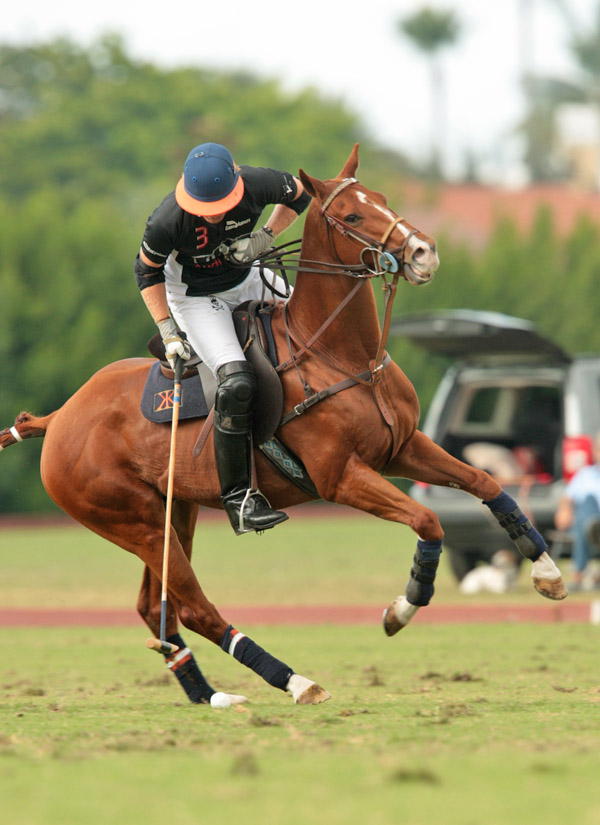 grand-champions-today-photo-s 15 polomagazine.jpg