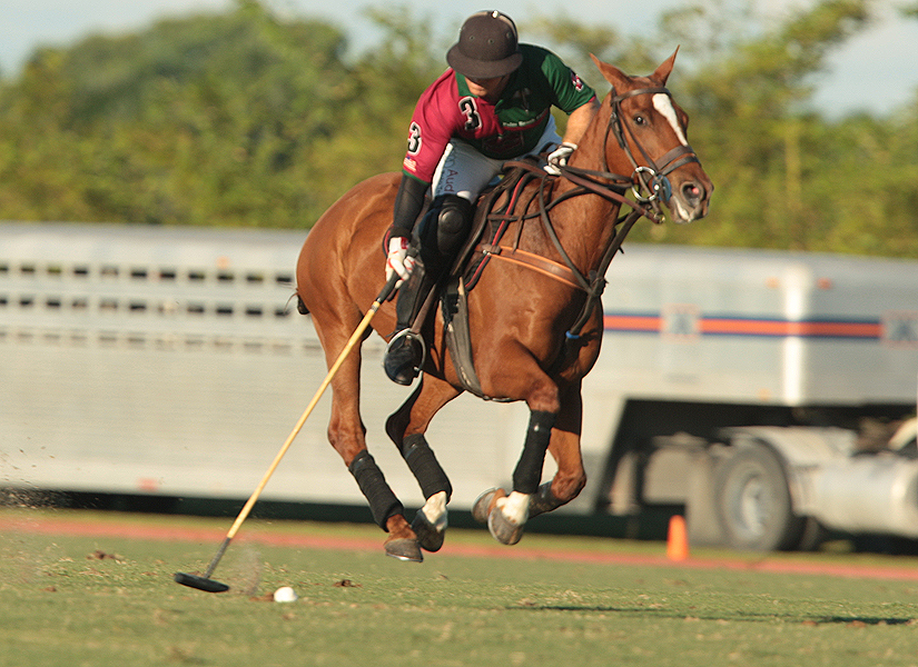 photos-audi-pb-equine-vs-casablanca-photo-credit-alex-pacheco 11 polomagazine.jpg