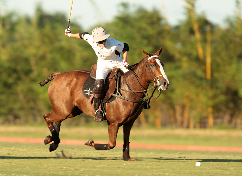photos-audi-pb-equine-vs-casablanca-photo-credit-alex-pacheco 15 polomagazine.jpg