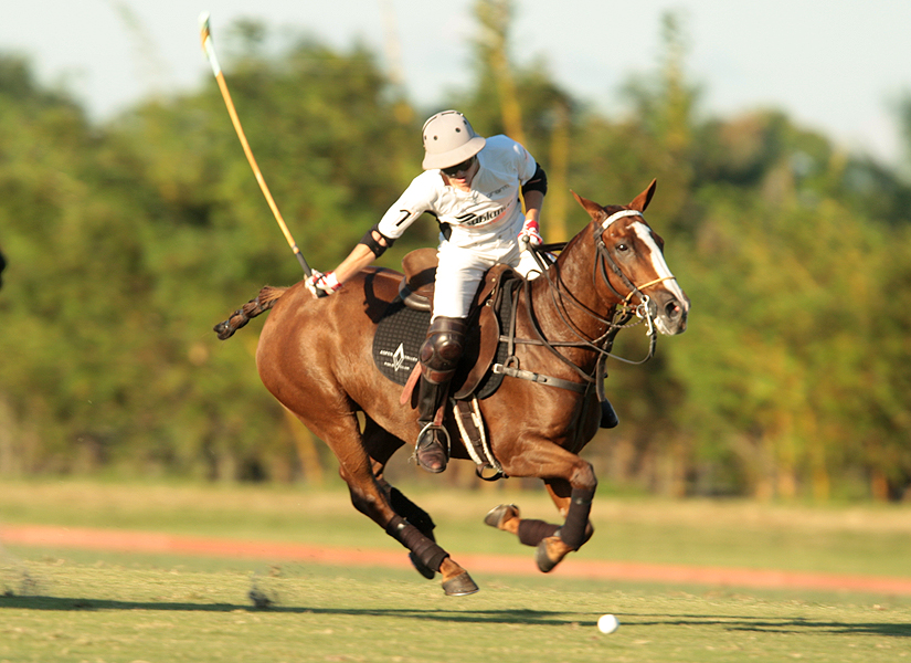 photos-audi-pb-equine-vs-casablanca-photo-credit-alex-pacheco 16 polomagazine.jpg