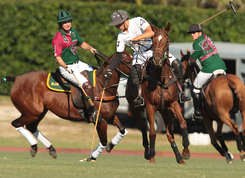 photos-audi-pb-equine-vs-casablanca-photo-credit-alex-pacheco 2 polomagazine.jpg