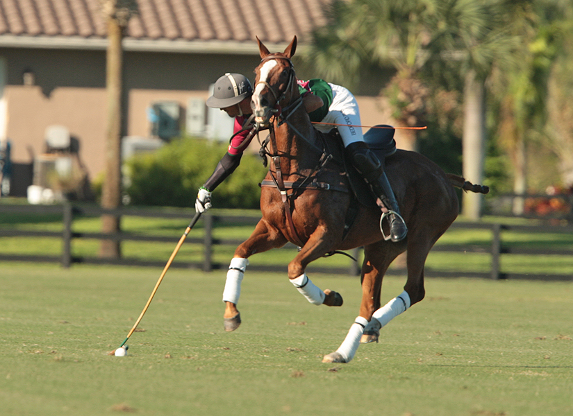 photos-audi-pb-equine-vs-casablanca-photo-credit-alex-pacheco 7 polomagazine.jpg
