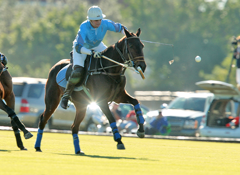 photos-of-uspa-fall-plates-final-by-alex-pacheco 15 polomagazine.jpg