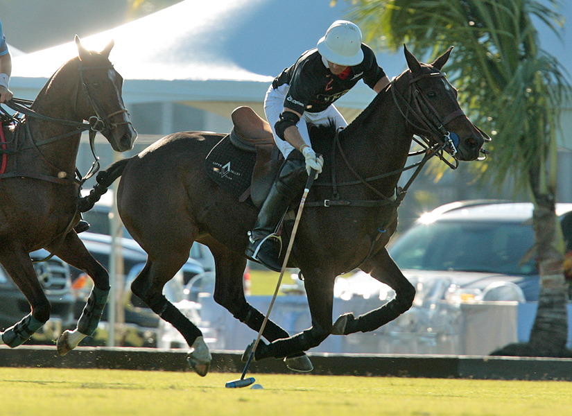 photos-of-uspa-fall-plates-final-by-alex-pacheco 17 polomagazine.jpg