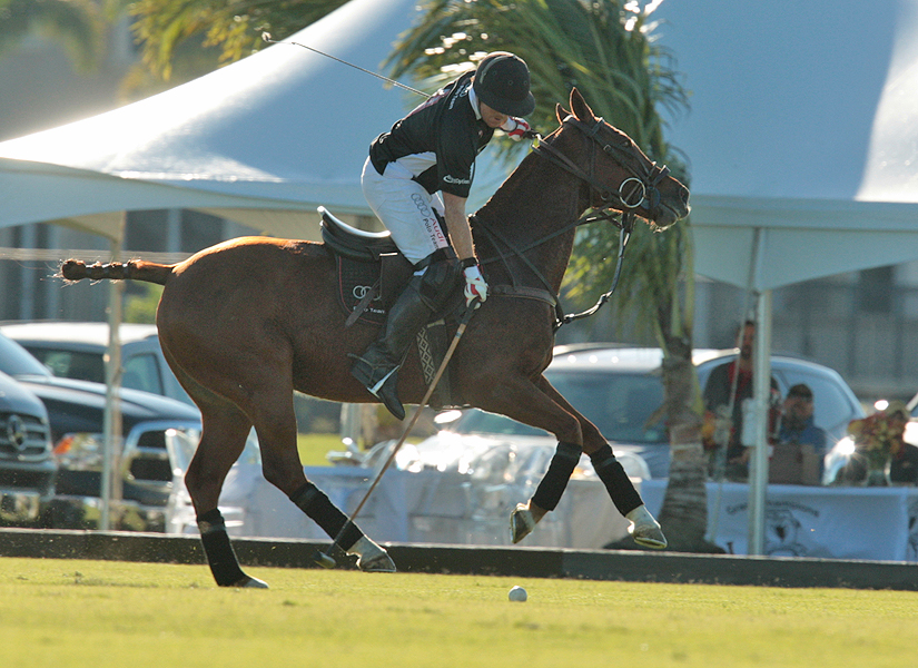 photos-of-uspa-fall-plates-final-by-alex-pacheco 19 polomagazine.jpg