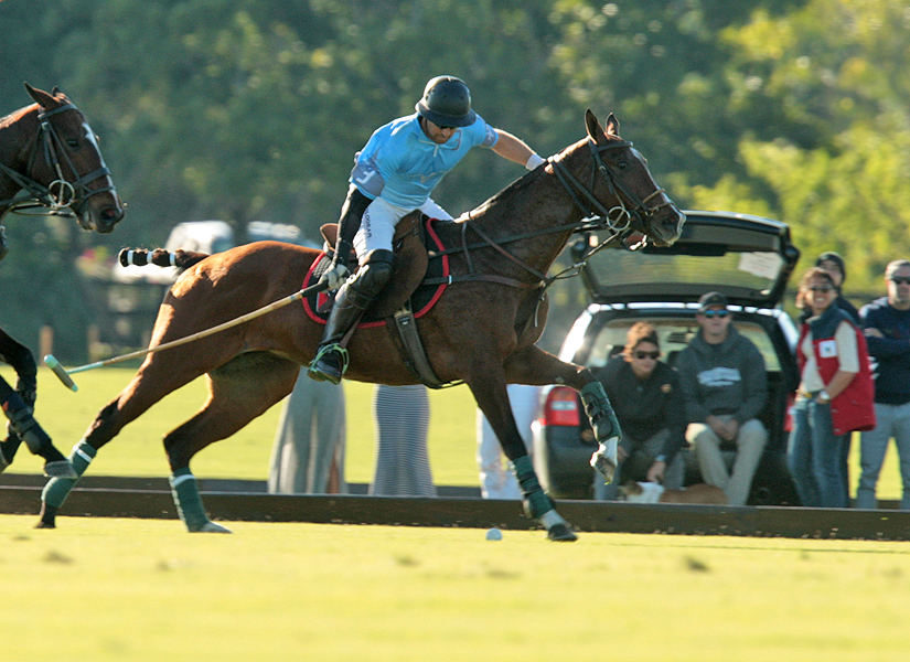 photos-of-uspa-fall-plates-final-by-alex-pacheco 20 polomagazine.jpg