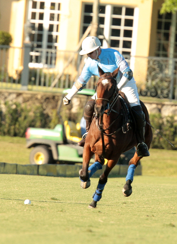 photos-of-uspa-fall-plates-final-by-alex-pacheco 2 polomagazine.jpg