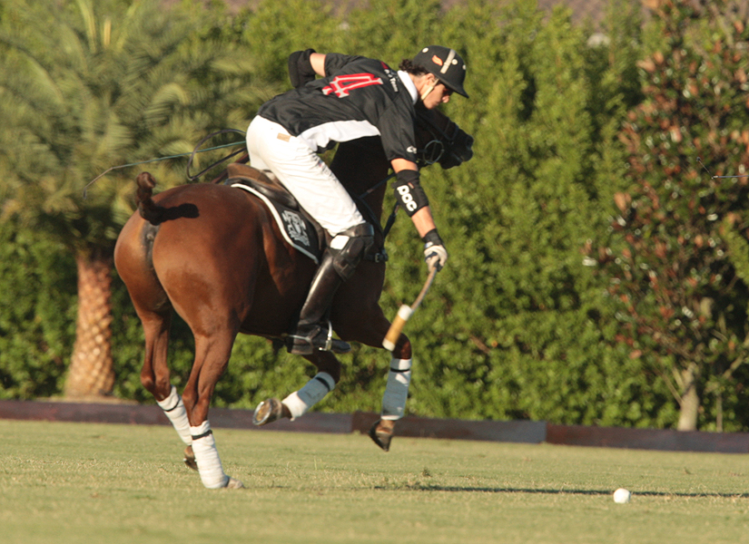 photos-of-uspa-fall-plates-final-by-alex-pacheco 3 polomagazine.jpg