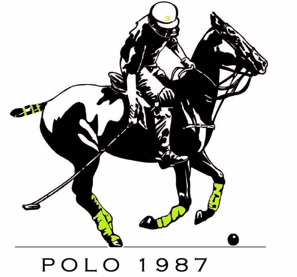 polo 1000x932.846715328 international-polo-cup-of-lyon-press-release 2 polomagazine.jpeg
