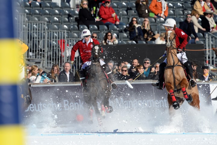 29 01 16-066 24064463033 o