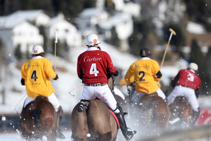 29 01 16-231 24063121674 o