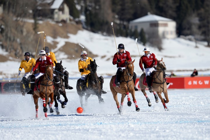 29 01 16-260 24665081386 o