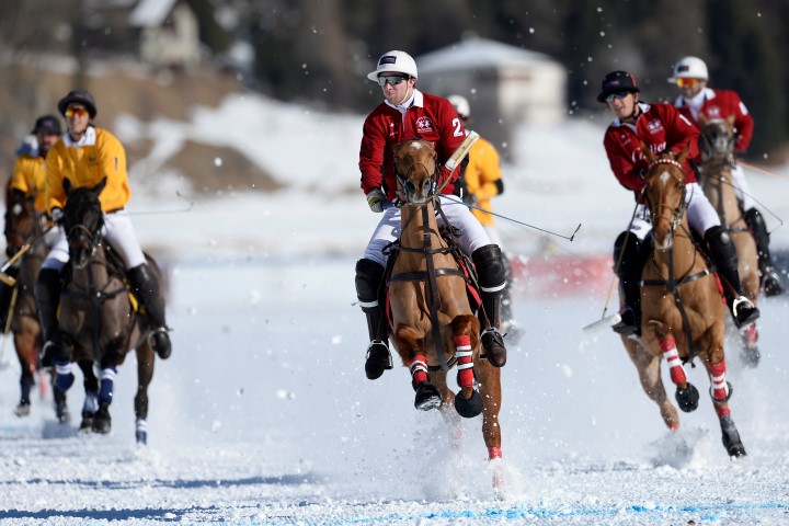 29 01 16-264 24064451883 o