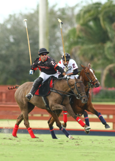 Orchard Hill vs Lechuza