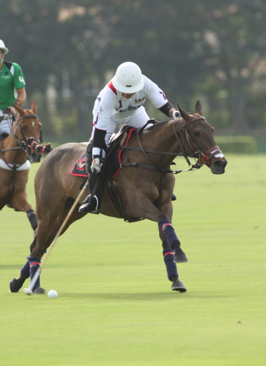 Photos of today's 20-goal contest between Villa Del Lago and Lechuza Caracas