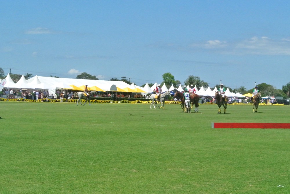 DSC 7940