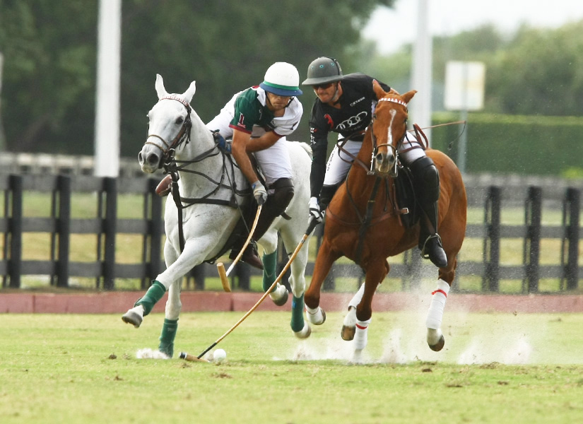 Photos-National 20-goal-11-15-13  Audi and Palm Beach Equine   