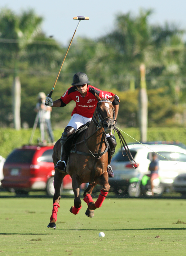 Joe Barry Memorial CupVilla Del Lago Casablanca, Orchard Hill 