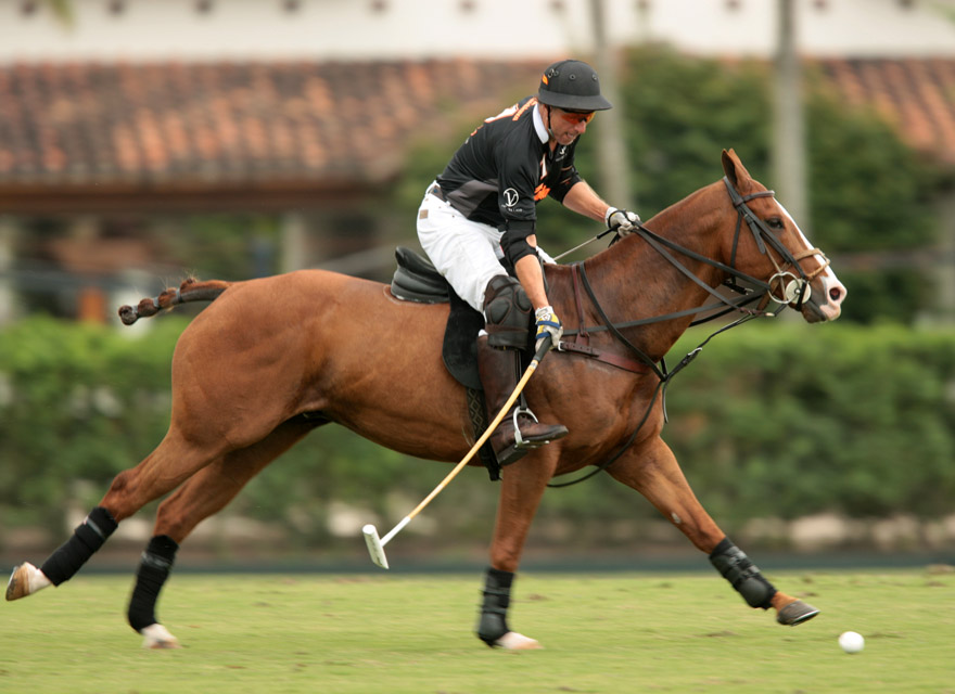  Photos-Iglehart Cup semifinal