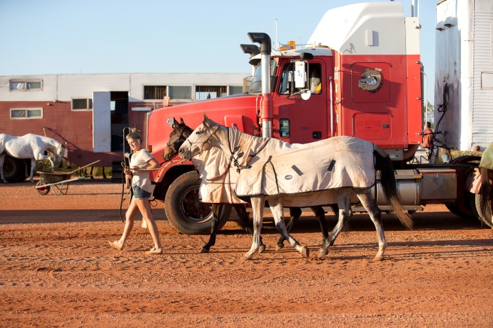 Thursday Training 2610