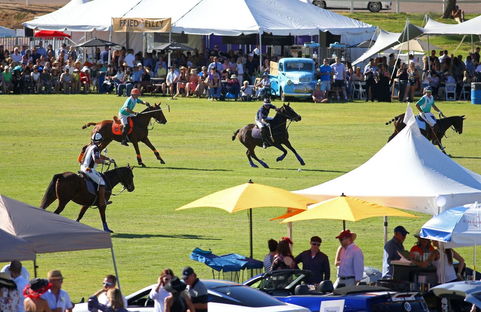 Scottsdale Polo -The Polo Party