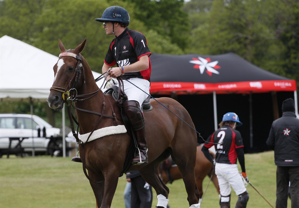 polo tournament queens cup 2013 uk polo celine genonceau polo photograph 9