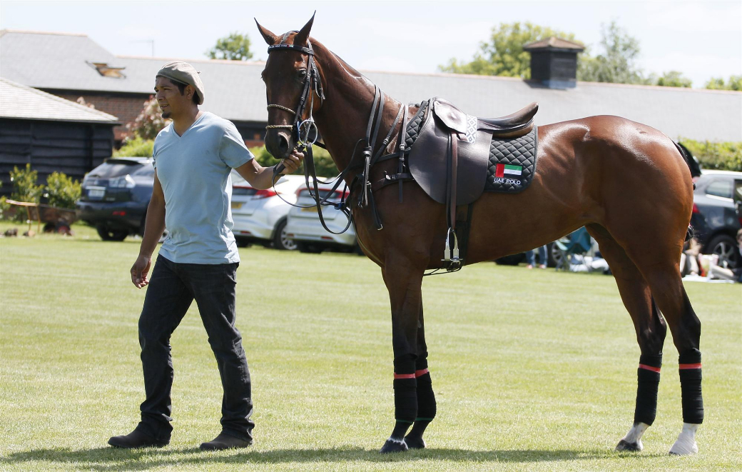 polo photos 2013 queens cup uk polo magazine celine 9