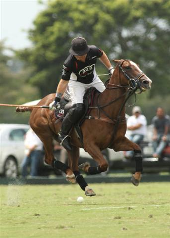 Polo photos-ERG vs. Audi-4-7-13